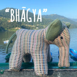 "Bhāgya" the Baby Elephant